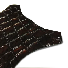 Sporenset Glossy Croc Brown